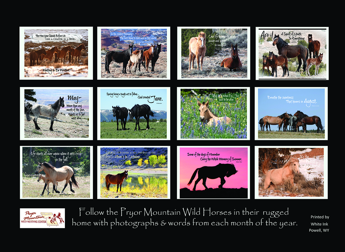 Pryor Mountain Wild Mustang Center