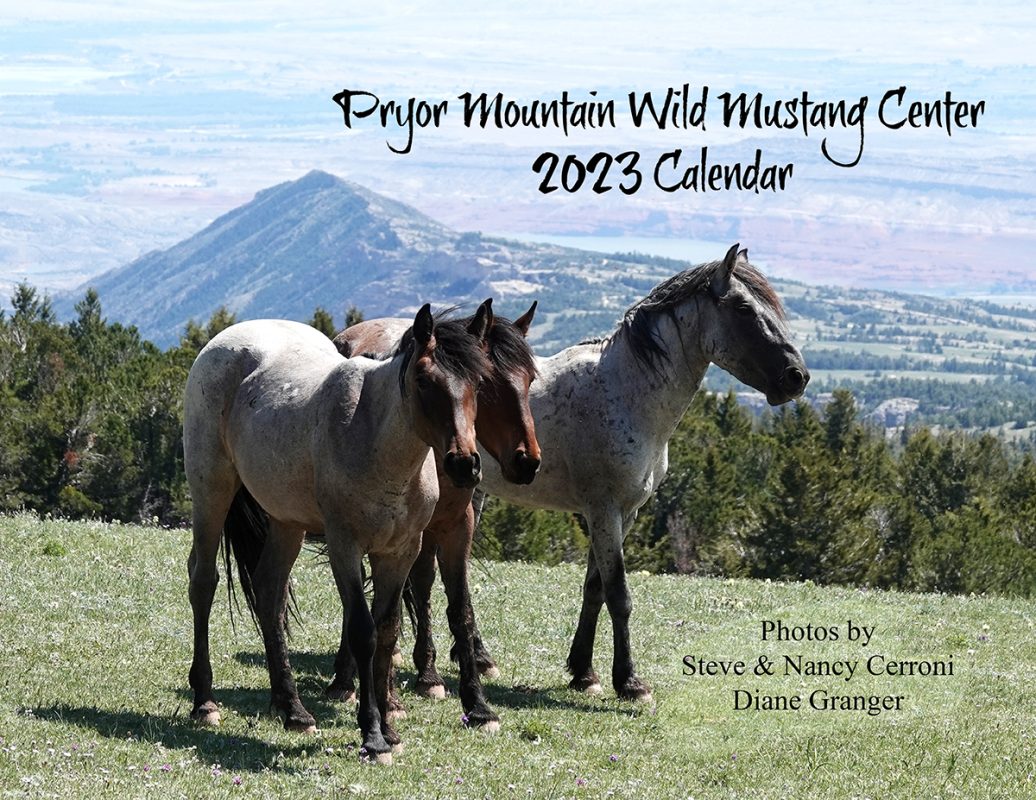 Pryor Mountain Wild Mustang Center
