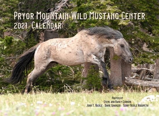 Pryor Mountain Wild Mustang Center