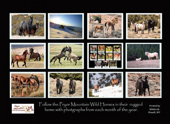 Pryor Mountain Wild Mustang Center
