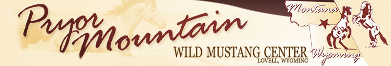 Pryor Mountain – Wild Mustang Center