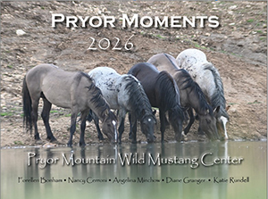 Calendar 2026 Front Cover small